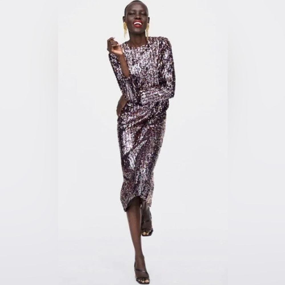 COPY - ZARA Sequined Long Sleeve Midi Sheath Dress  Women’s Size Small